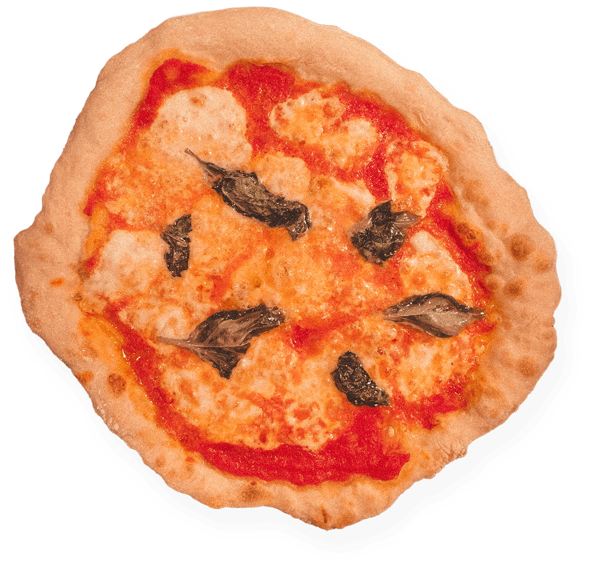 Overhead view of a Neapolitan pizza