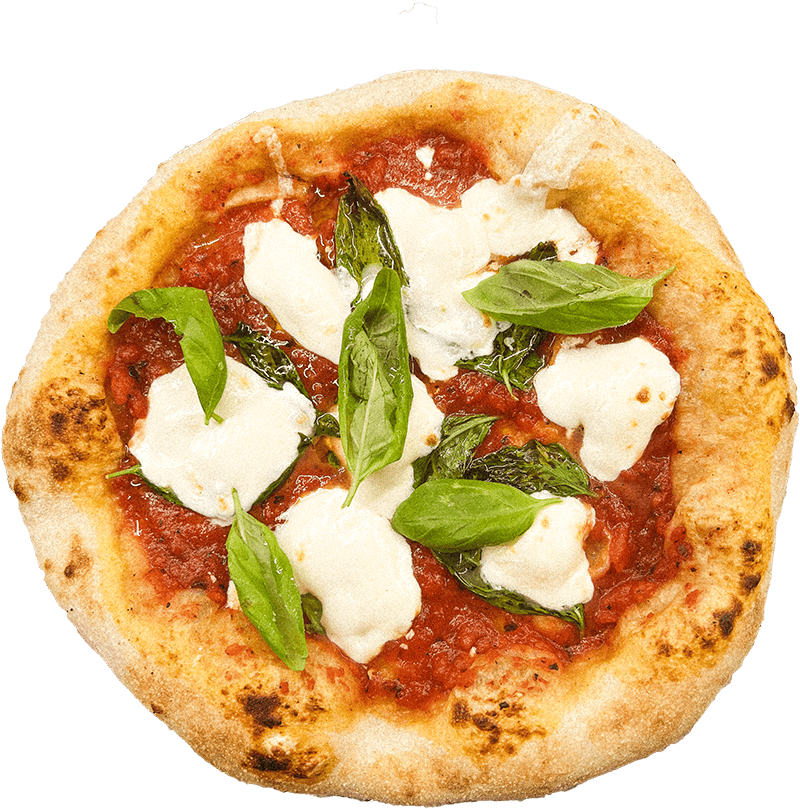 Pizza with basil, fresh mozz and EVOO